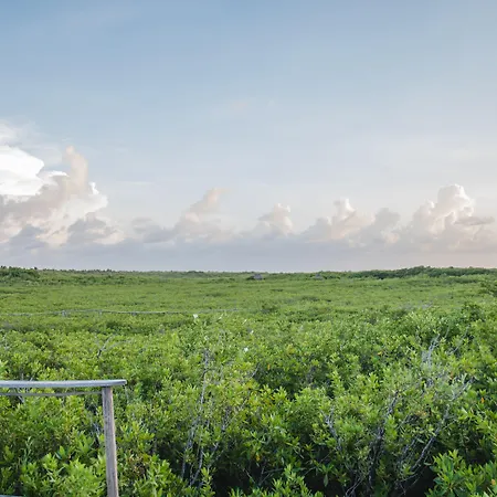 Nativus Glamping & Cenote Tulum-2